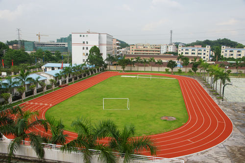 塑膠跑道價(jià)格 塑膠跑道價(jià)格